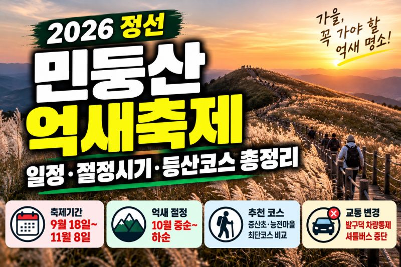 민둥산 억새축제 총정리｜절정시기 등산코스 소요시간 주차장 셔틀버스 통제 안내