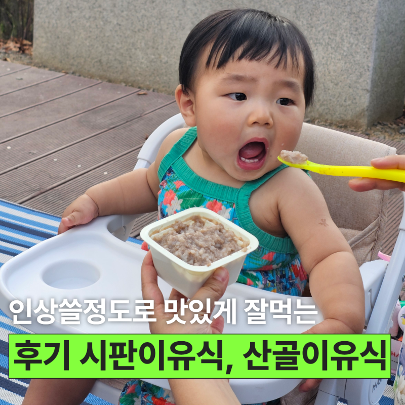 산골이유식 후기, 집에서도 캠핑에서도 아기가 완밥한 시판 이유식