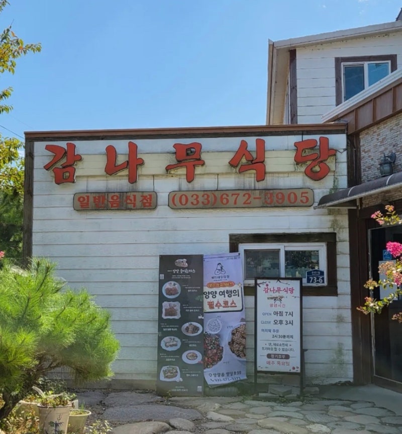 [양양 맛집] 감나무 식당 주차, 웨이팅, 메뉴 후기