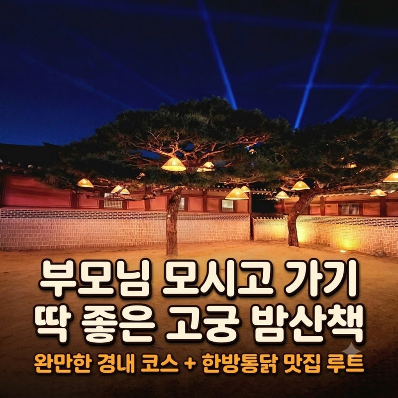 수원 화성행궁 야간개장 주말 주차 대기 피하는 현실적인 방법과 고궁 야경 코스