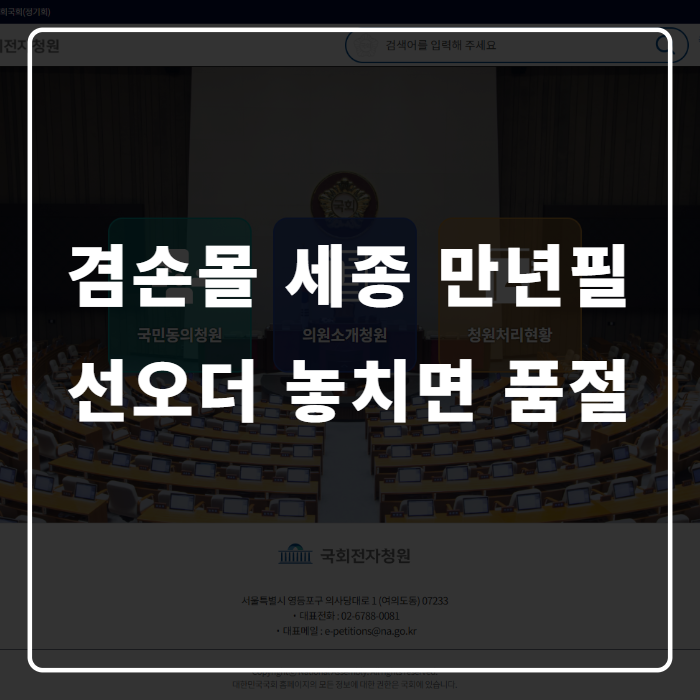 겸손몰 세종 만년필·덧경·안경, 정품 구매 전 헷갈리는 것들 정리