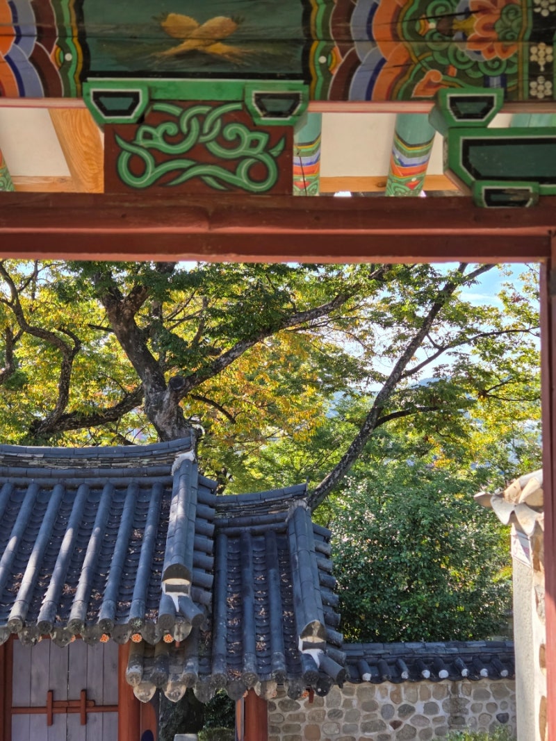 당일치기 진주 (뚜벅이로 가볼 만한 진주성, 촉석루, 국립진주박물관, 호국사)