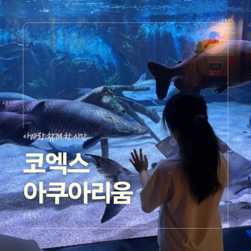 코엑스 아쿠아리움 주차 & 할인 꿀팁, 아빠랑 둘이 다녀온 바다 탐험