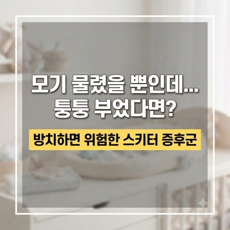 아기 모기 알레르기(스키터 증후군) 증상부터 리바스티 패치 올바른 사용법 및 주의사항