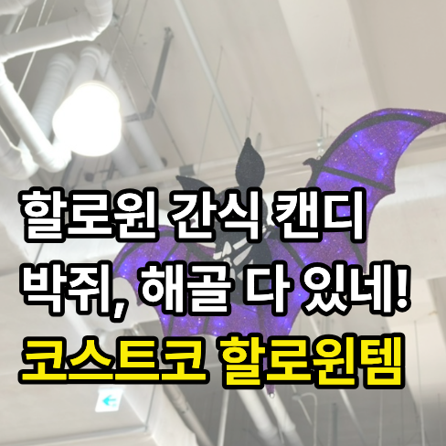 코스트코 할로윈 간식 캔디 젤리 할로윈 장식 박쥐 할인템