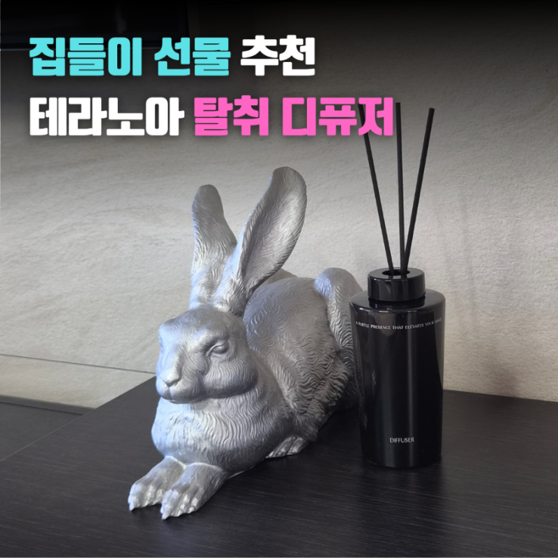 테라노아 탈취디퓨저 추천 실사용 후기와 냄새 제거 효과 비교