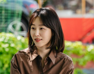 서현진, 27.6% 찍었던 흥행 배우인데 최종 1.6%라니… 무슨 일이?