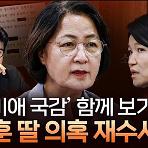 한동훈 딸의 논문 대필, 전자책 표절 및 스펙 이용 의혹