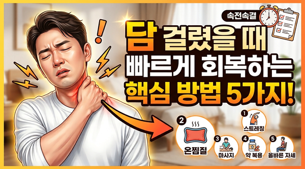 갑자기 담 걸렸을 때, 담 증세부터 원인. 담 빨리 푸는 법까지 정리