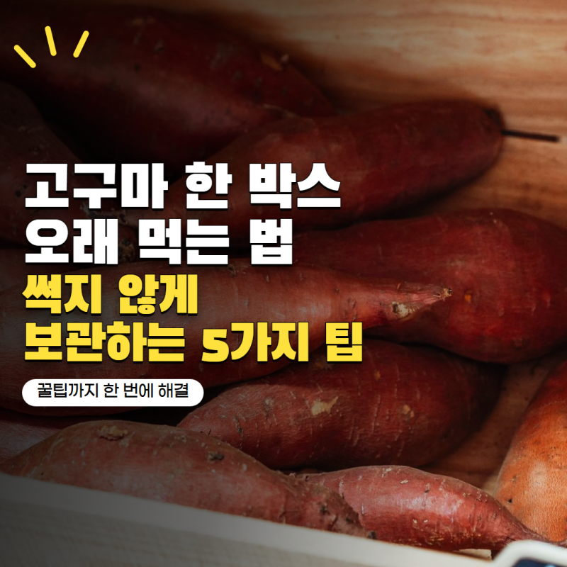 고구마 한 박스 오래 먹고 싶다면, 썩지 않게 보관하는 5가지 방법