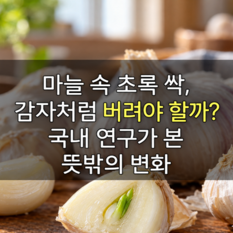 “마늘 속 초록색 싹, 독인 줄 알고 버렸는데..” 대부분 몰랐던 의외의 사실