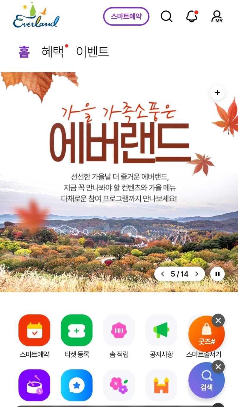 에버랜드 입장권 할인카드, 삼성카드로 구매하고 큐패스 혜택 받기