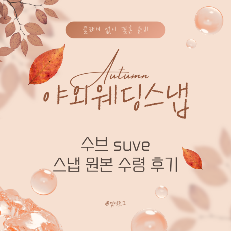 "야외웨딩스냅 원본이 이 정도라고?" 노을공원 수브 suve 스냅 원본 후기 & PPT 시안 활용법