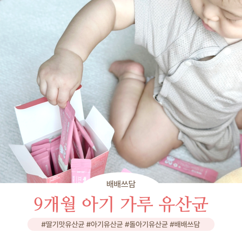9개월 아기 유산균 추천하는 배배쓰담 가루 유산균
