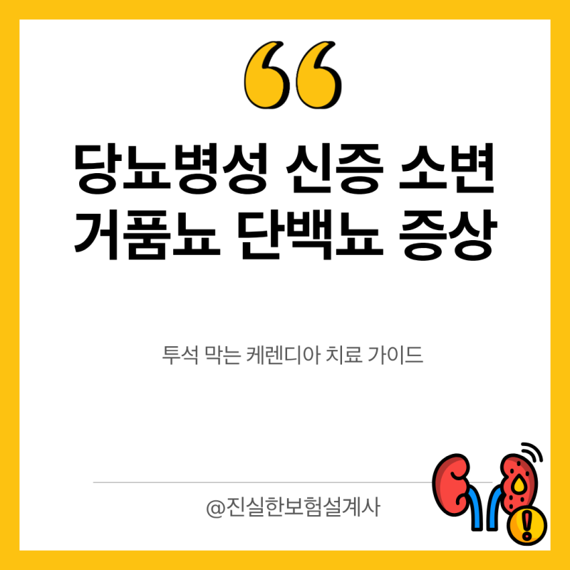 당뇨병성 신증 소변 거품뇨 단백뇨 증상과 투석 막는 케렌디아 치료 가이드