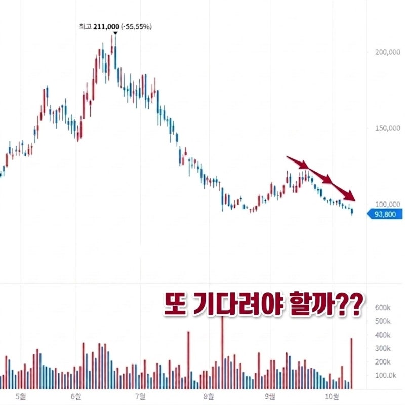 "주식 1주로 백화점 할인을?" 롯데쇼핑이 내놓은 의외의 주주 선물