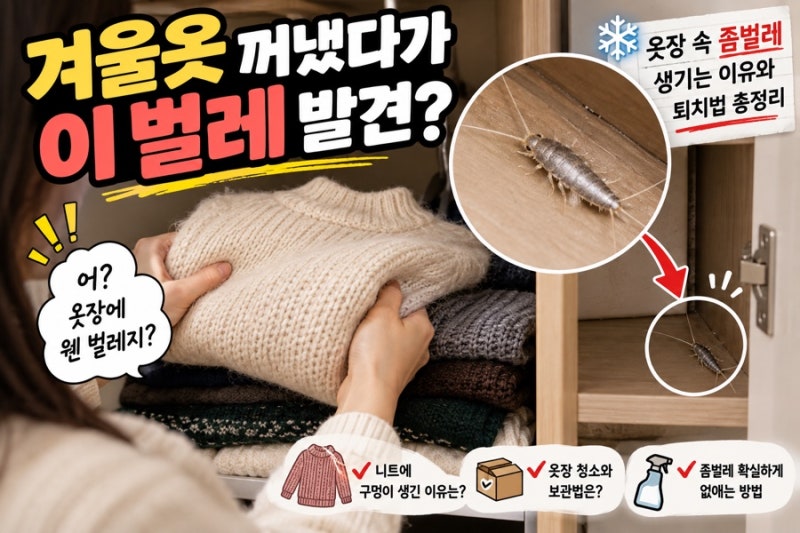 겨울옷 꺼냈다가 은색 벌레 발견? 옷장 속 좀벌레 생기는 이유와 퇴치법