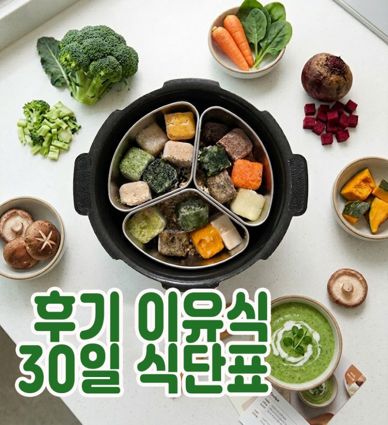 후기 이유식 식단표 한달 스케줄 레시피 밥솥이유식 시기 양 재료