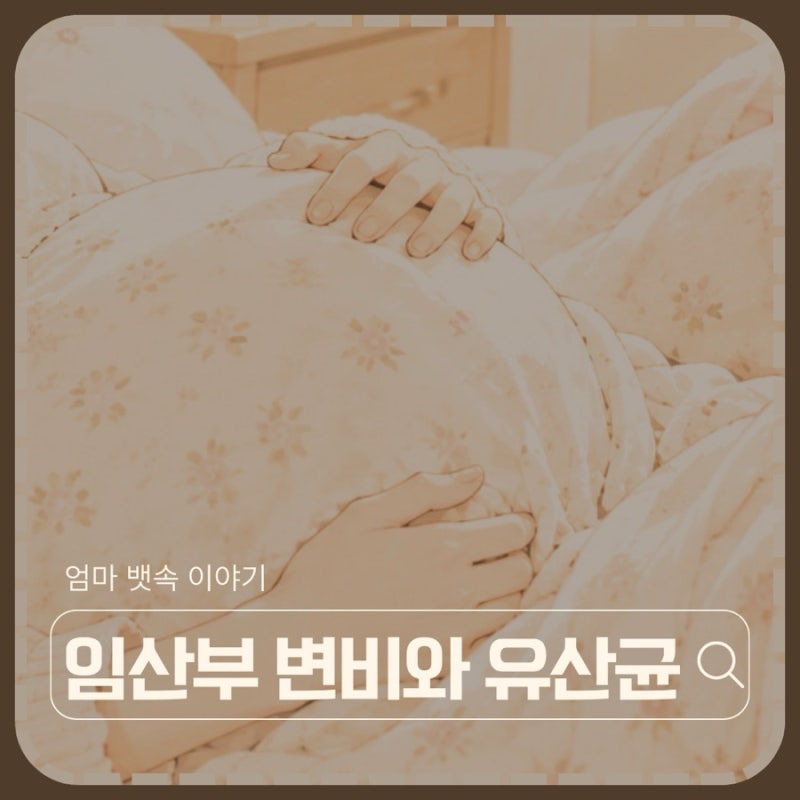 임신 중기 변비 4주 기록, 유산균이 확실히 도움은 되더라.