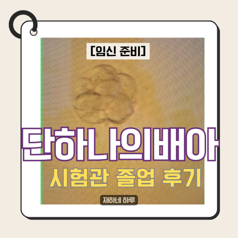 [난임 일기] AMH 0.3, 인공수정 실패 후 시험관 1차 성공! (꿈의 계시, 남편 설득, 난포 1개의 기....