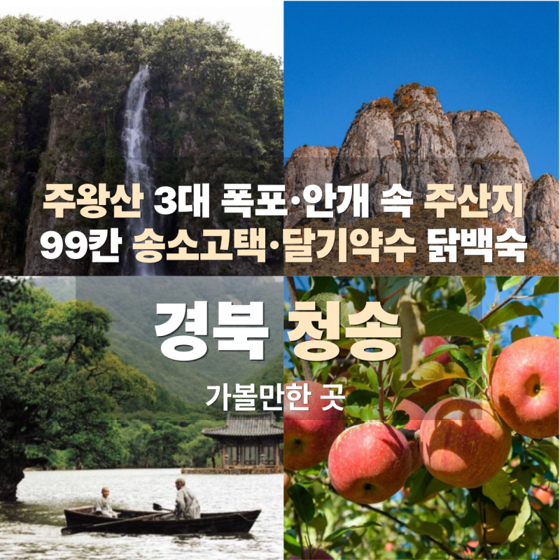 청송 사과축제 가기 전 가볼만한곳 | 주왕산·주산지·달기약수·송소고택 여행코스 총정리