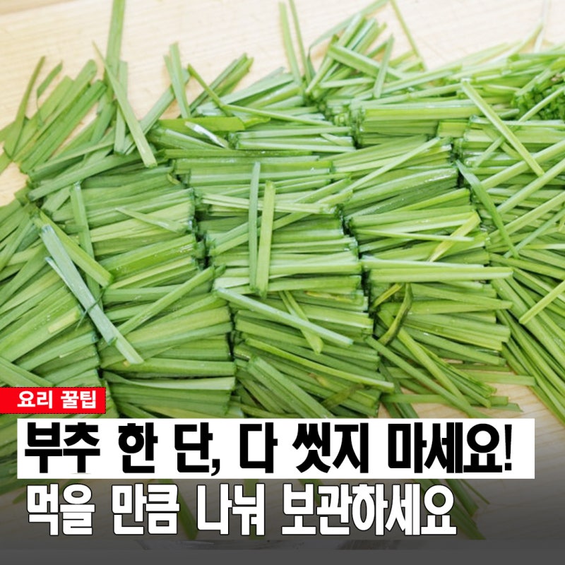 부추 한 단 어떻게 나눠둘까? 냉장용과 냉동용 보관법