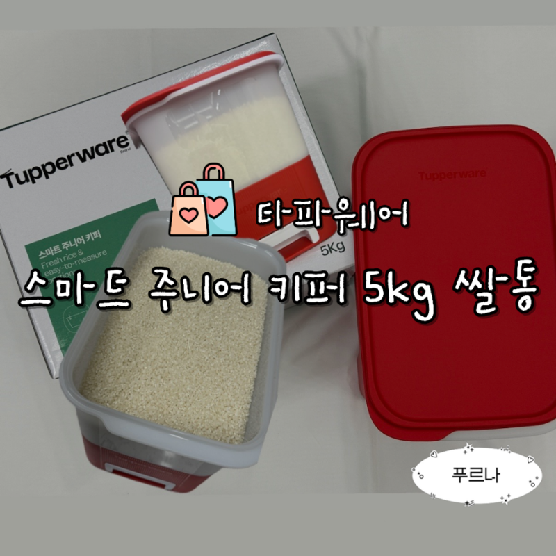 타파웨어 스마트 주니어 키퍼 5KG 1~2인 가구 쌀통 추천 내돈내산 후기