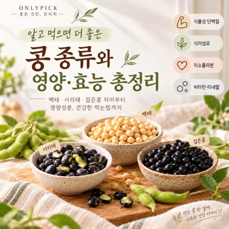 콩 종류와 영양, 효능,먹는법 총정리ㅣ 백태 ,서리태,검은콩 , 약콩,차이