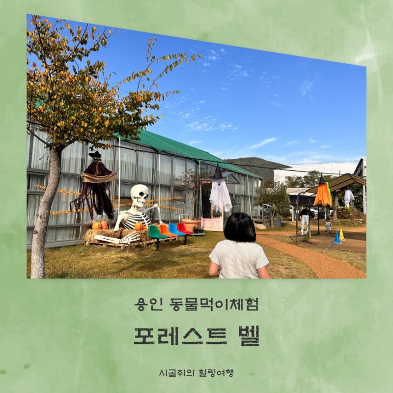 [용인/체험] 용인동탄수원 실내가볼만한곳 동물먹이체험