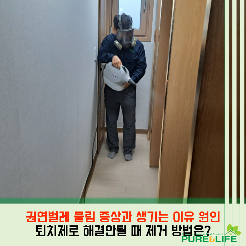 권연벌레 물림 증상과 생기는 이유 원인 퇴치제로 해결안될 때 제거 방법은?