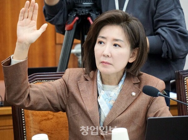 자주실용 <b>외교</b>? 나경원이 '궤변'이라 한 이유와 <b>北 지뢰</b> 논란 총정리