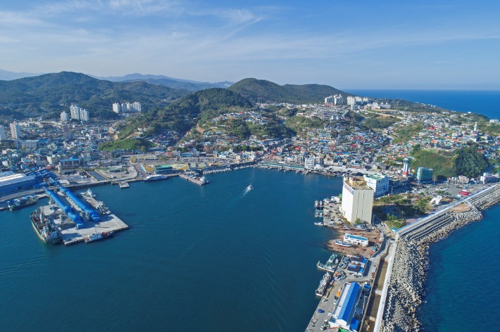 강원도 동해 묵호 가볼만한곳, 줄서는 도넛집 가보니 이유 있었다
