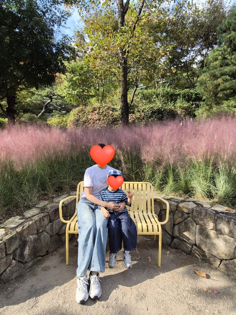 5살 아이랑 150일 아기랑 화담숲 방문 후기 ㅣ 10월 단풍, 예약방법, 아기랑 모노레일 이용 꿀....