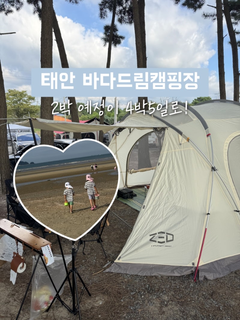 태안 바다드림캠핑장 아이와 4박5일 | 바다 앞 갯벌체험 캠핑 후기