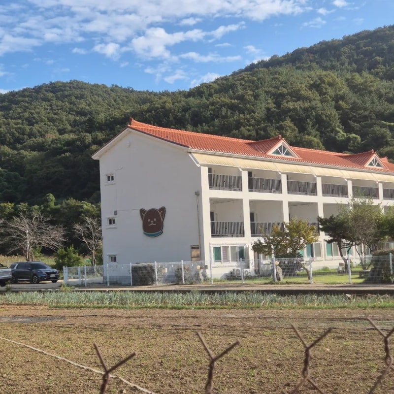 통영 글램독 강아지동반 애견펜션 방문후기