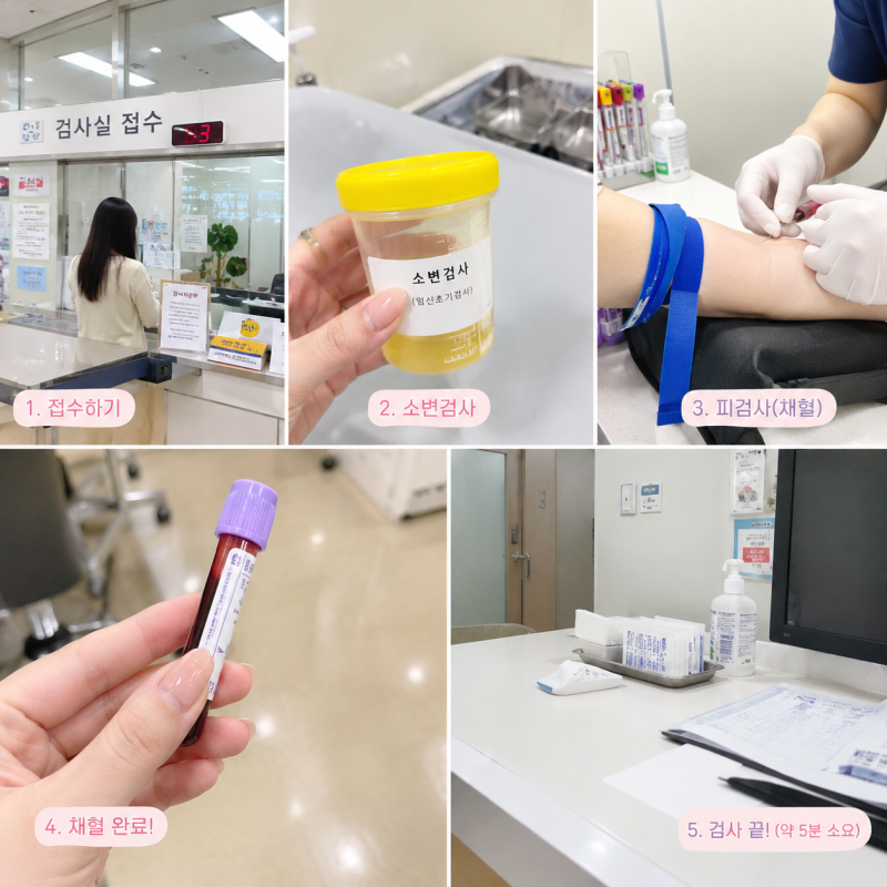 보건소 임신 초기검사 후기｜소변검사·피검사 5분 만에 끝났어요어제는 임산부등록! 오늘은....