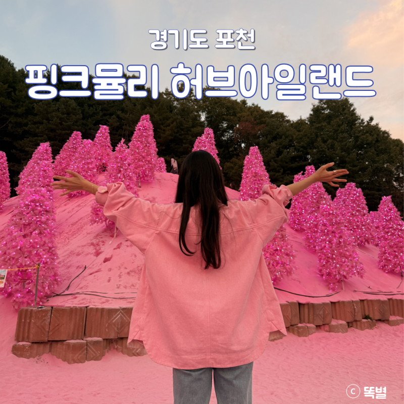 포천 허브아일랜드 핑크뮬리 축제 후기, 서울근교 나들이