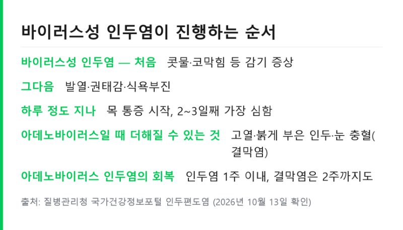 아데노바이러스 증상 순서 .. 유행각결막염 전염 기간과 등원 기준
