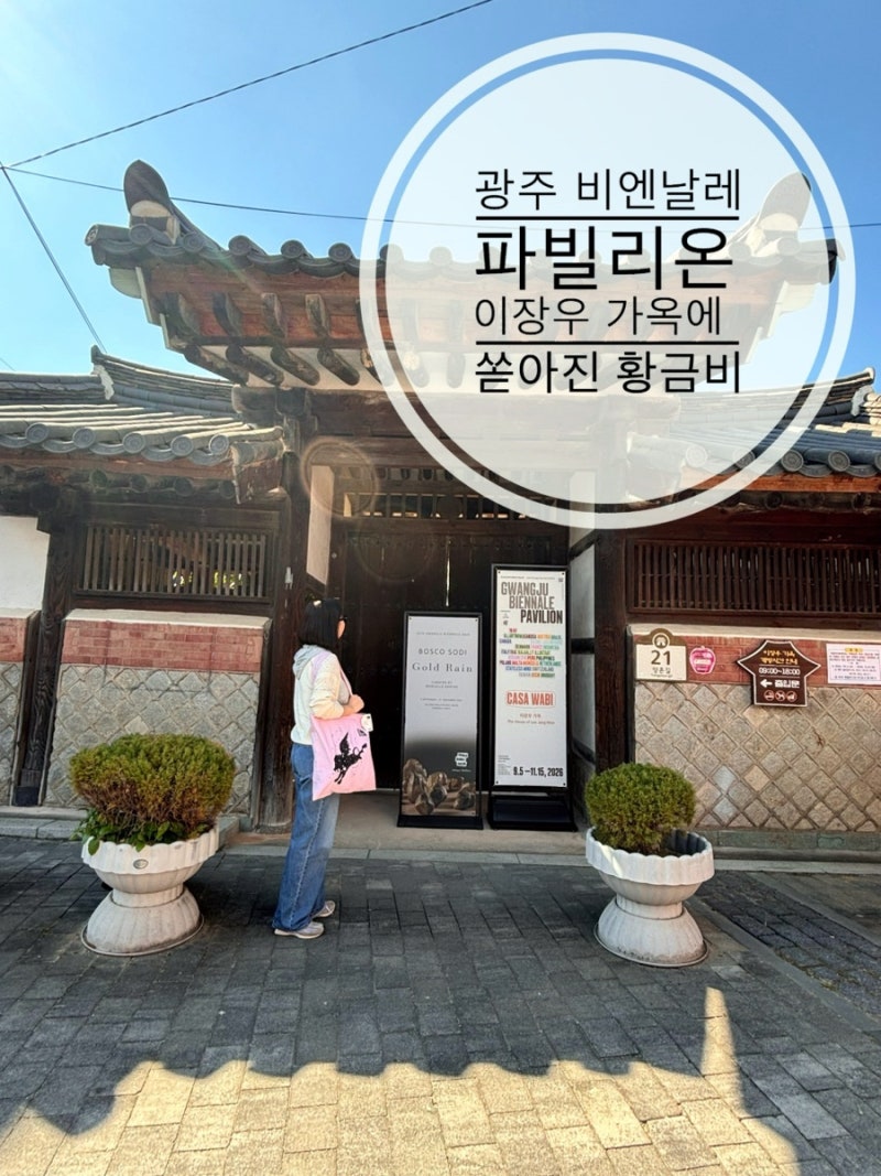 광주비엔날레 카사와비 파빌리온 이장우가옥에 쏟아진 황금비