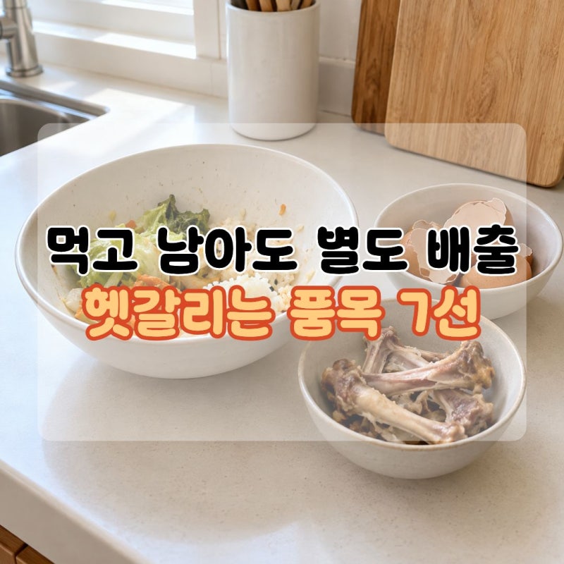 음식물쓰레기버리는법 당연히 음쓰인 줄 알았던 의외의 7가지