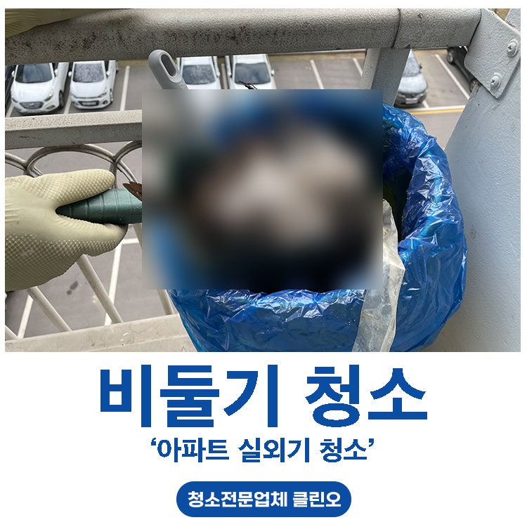 광주 아파트 실외기 비둘기 청소, 베란다 악취 원인 제거