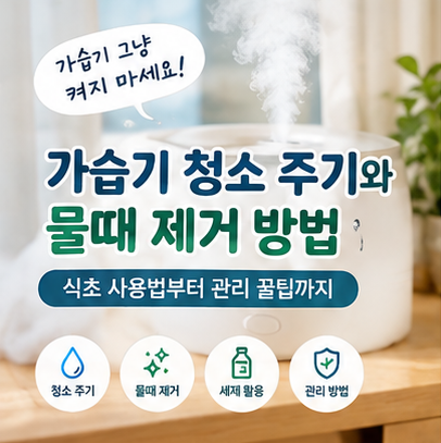 가습기 청소 주기와 물때 제거 방법｜식초 사용법부터 올바른 관리법까지