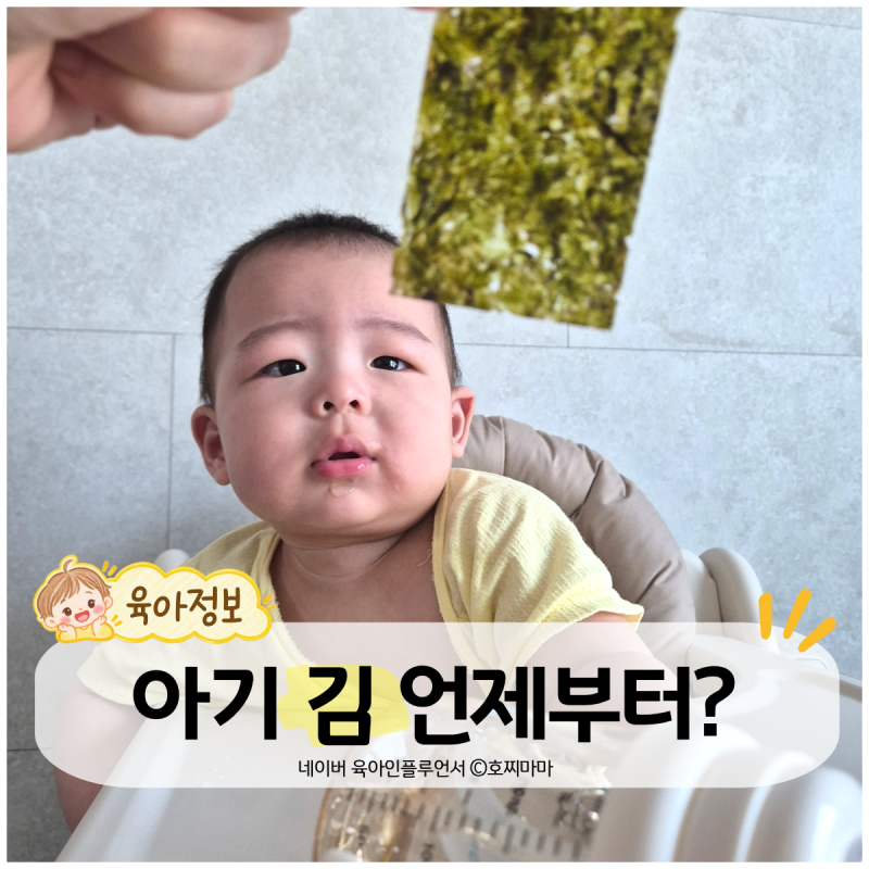 아기 김 언제부터? 김 먹이는 방법부터 아기 김 고르는 방법