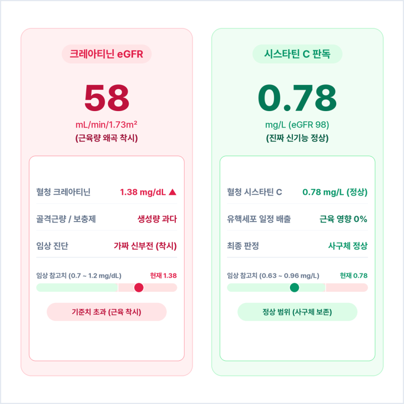 크레아티닌 수치 상승과 사구체 여과율 저하: 신장내과 시스타틴 C 검사 정상치 판독법