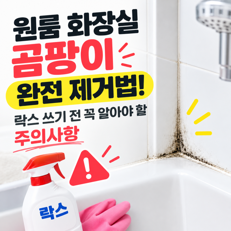 자취방 화장실 곰팡이 없애는 법과 락스 사용 시 오남용 주의사항 정리