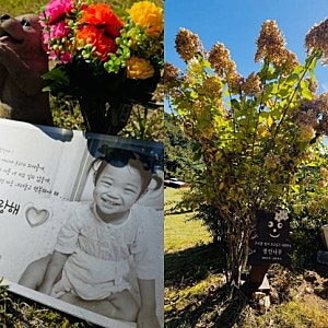 '그알' 이동원 PD, 정인이 6주기 묘소 방문…"살았다면 초등학생"