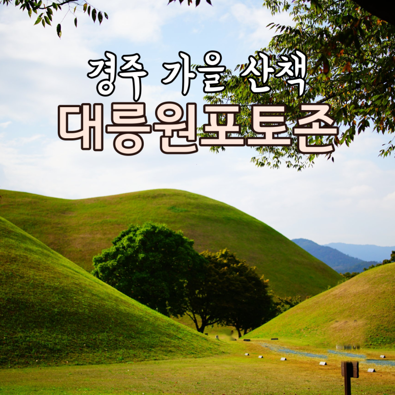 대릉원포토존 공영주차장 입장료 총정리