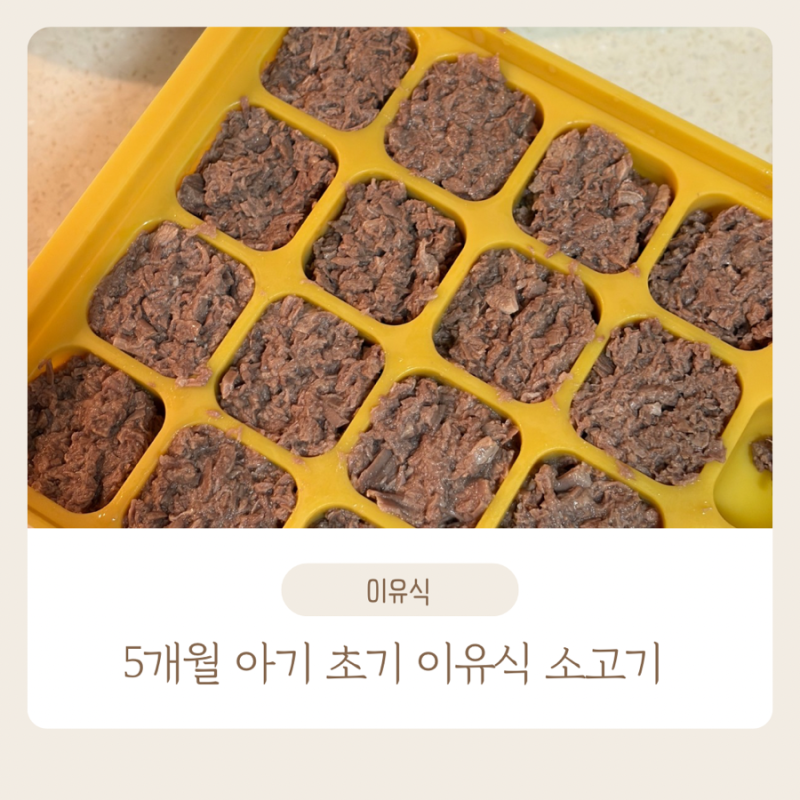 5개월 아기 초기 이유식 소고기 큐브 만들기｜한우 안심 10g 소분, D+179 첫 소고기 후기