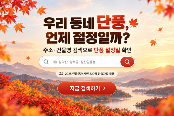 2026년 산림청 단풍 절정 시기 (설악산 내장산 화담숲 단풍시기)