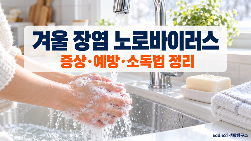 노로바이러스 증상과 잠복기, 겨울 장염 예방법과 가족 감염 막는 소독법